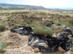 Cerro de la Almagra 2004